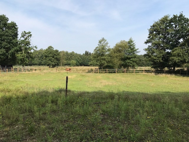 Farm sold in Heusden