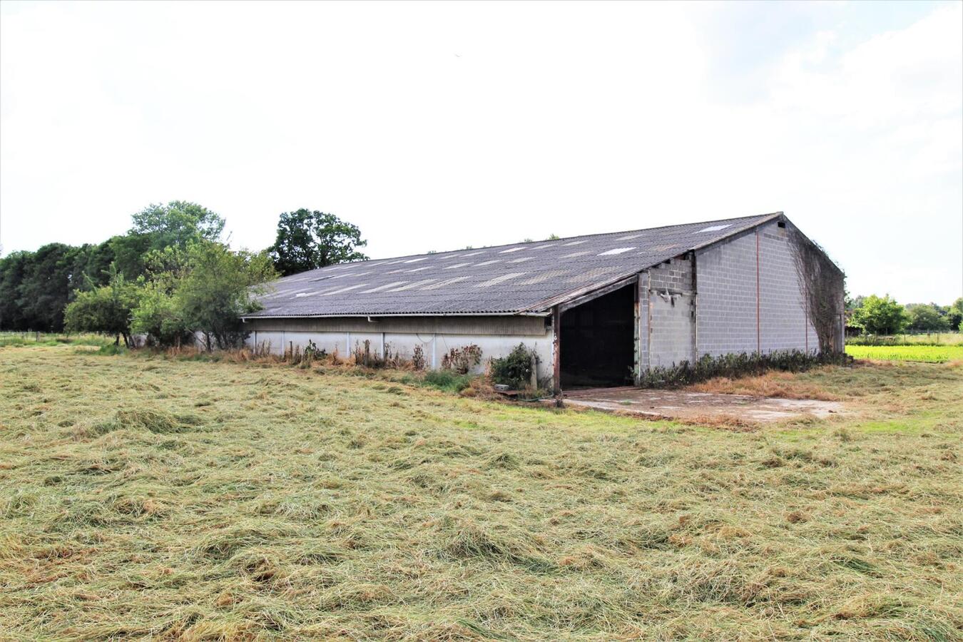 Te renoveren boerderij met loods op ca. 74a te Zemst (Vlaams-Brabant) 