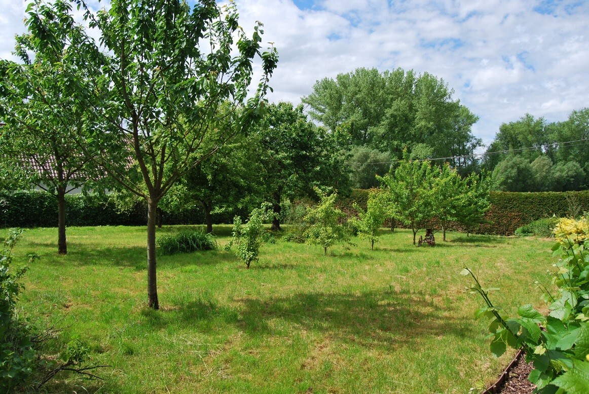 Charmante hoeve op ca. 1,1ha te Geraardsbergen 