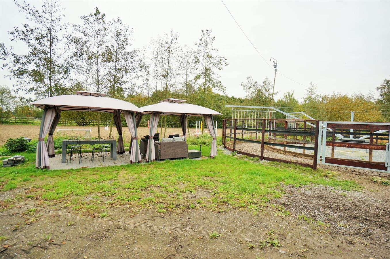 Vrijstaande villa met zwembad, poolhouse, stallen, buitenpiste en stapmolen op ca. 2,26 ha te Putte 