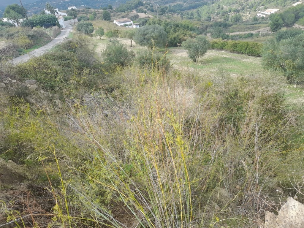 Grond (11.000m&#178;) te koop in Benissa (Spanje) 