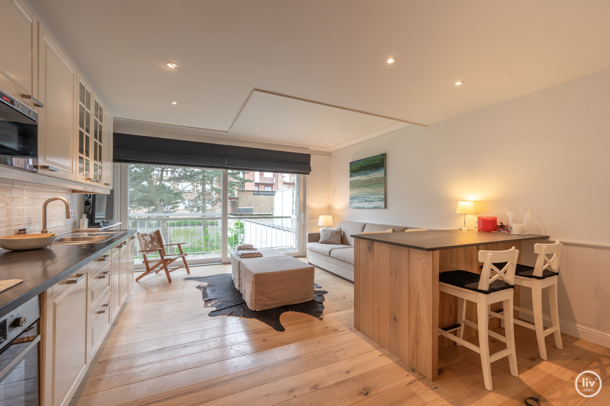 Integraal gerenoveerd studio-appartement met zuidgericht terras op 50m wandelafstand van de Zeedijk-Albertstrand 
