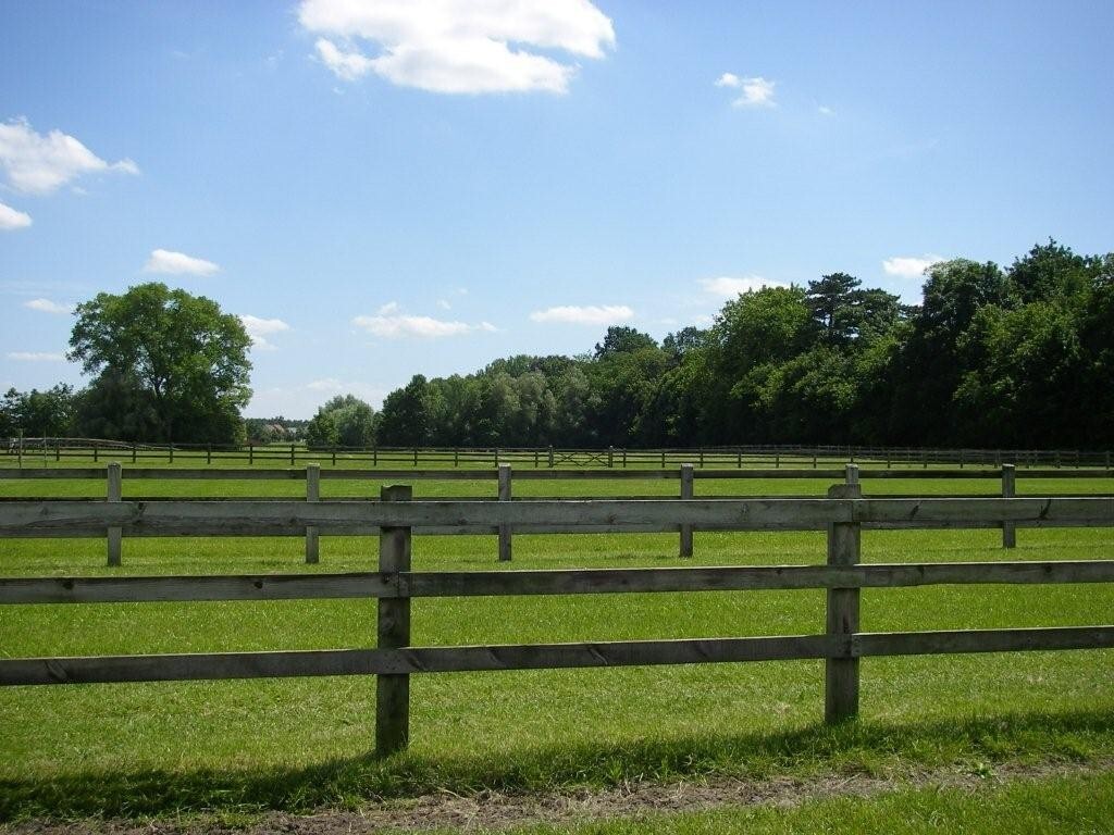 Farm sold in Hansbeke