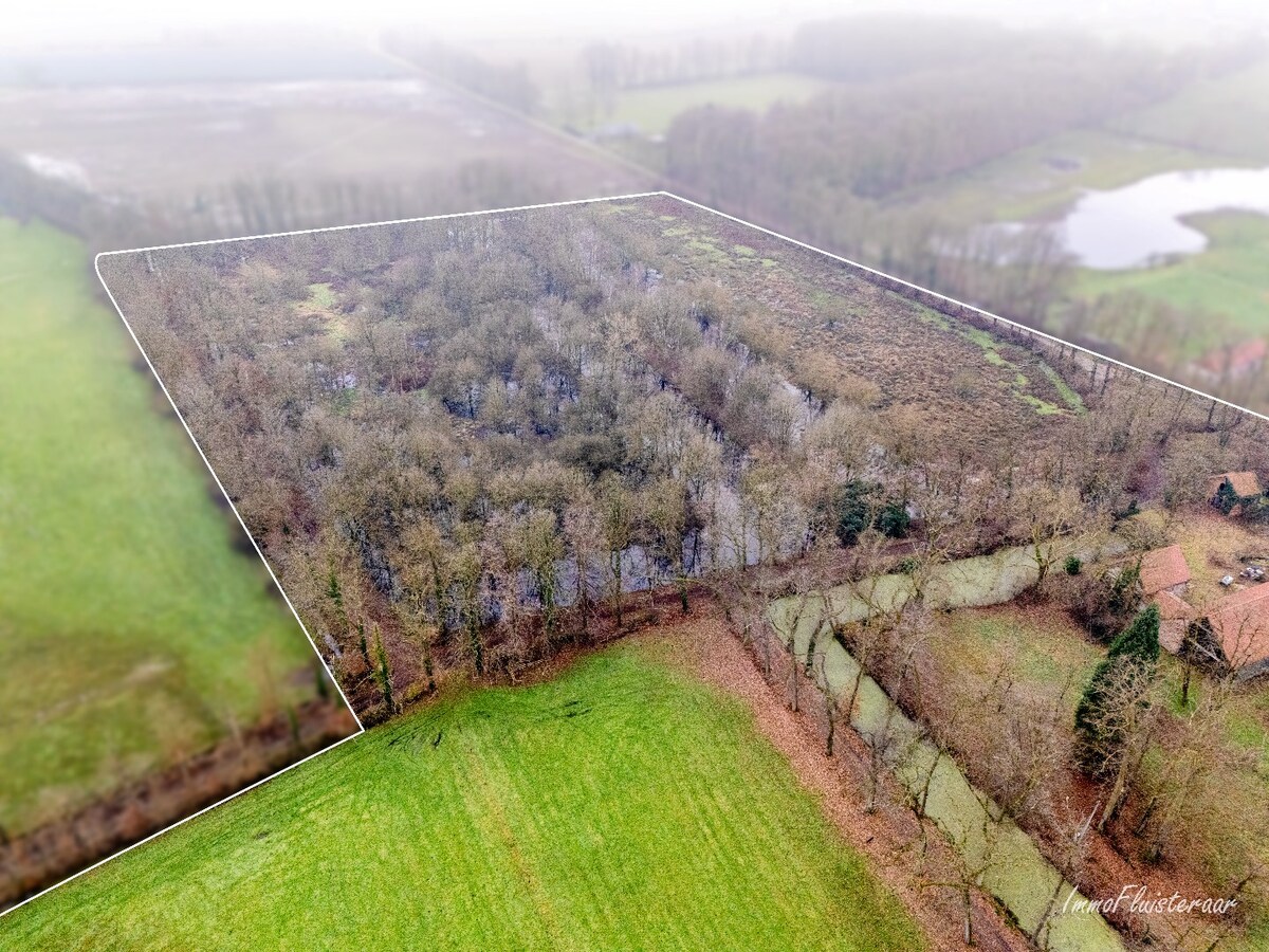 Uniek casco landhuis op een idyllische  locatie op ca. 8,26 ha te Diest 