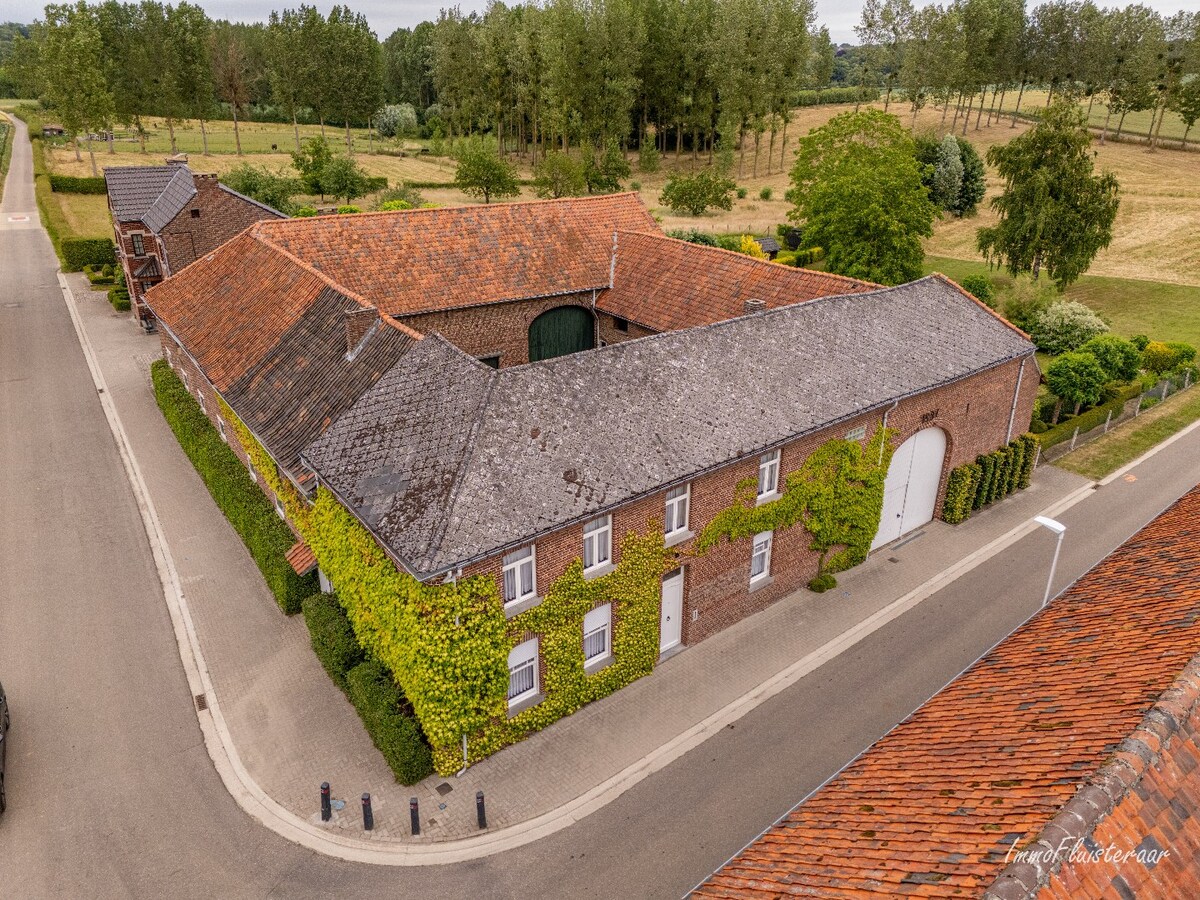 Charmante vierkantshoeve met veel potentieel op ca. 3,14 ha te Tongeren 