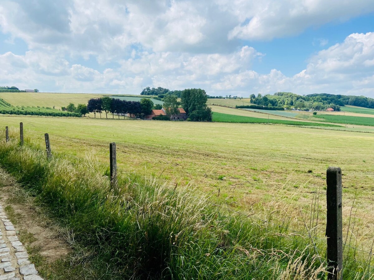 Landbouwgrond op ca. 5ha te Tielt-Winge (Vlaams-Brabant) 