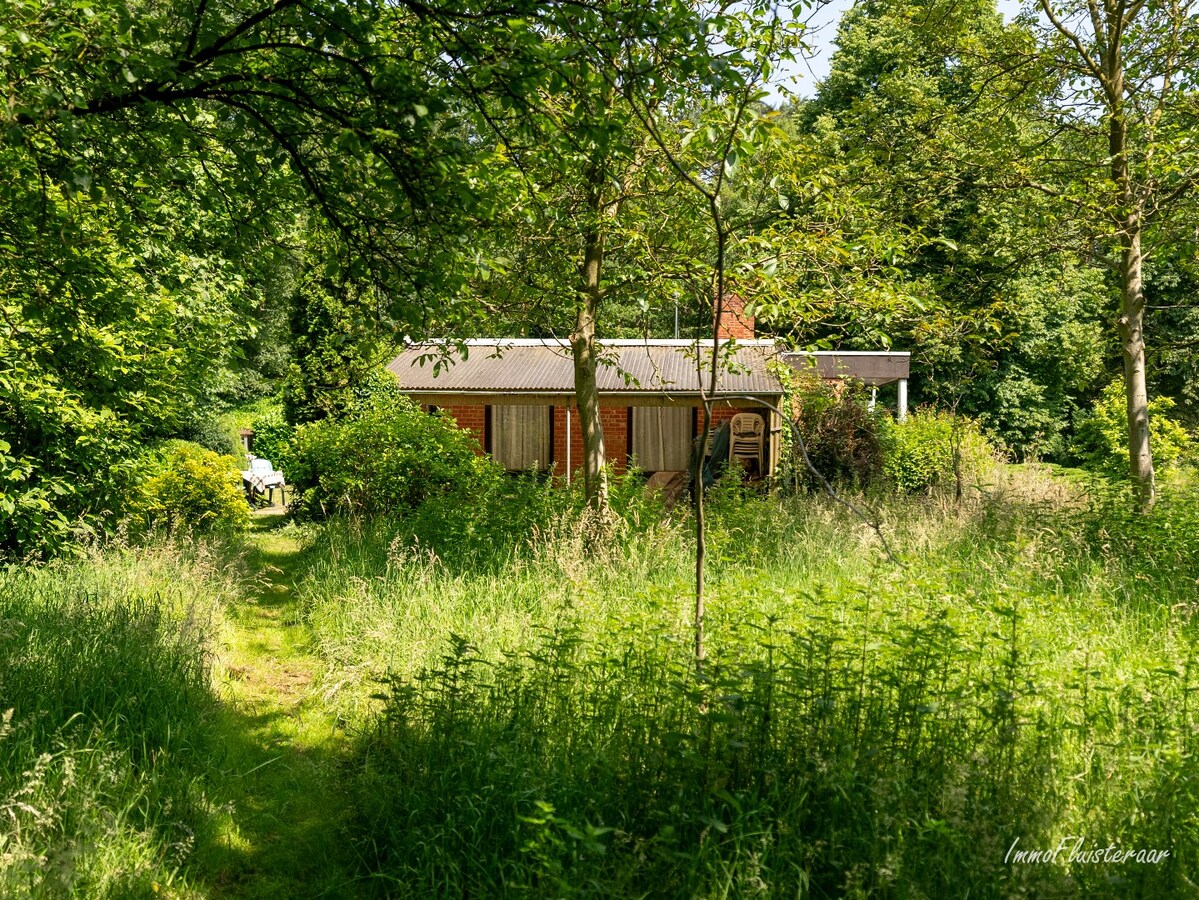 Uniek domein met woning op ca. 3,6 ha gelegen te Balen (optie tot aankoop ca. 10 ha aanpalend bos- en weiland) 