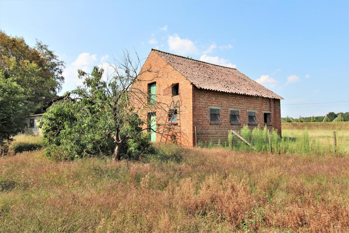 Optie - Te renoveren woning met aanhorigheden, bijgebouwen, loods en een weiland op ca. 85a te Waanrode (Vlaams-Brabant) 