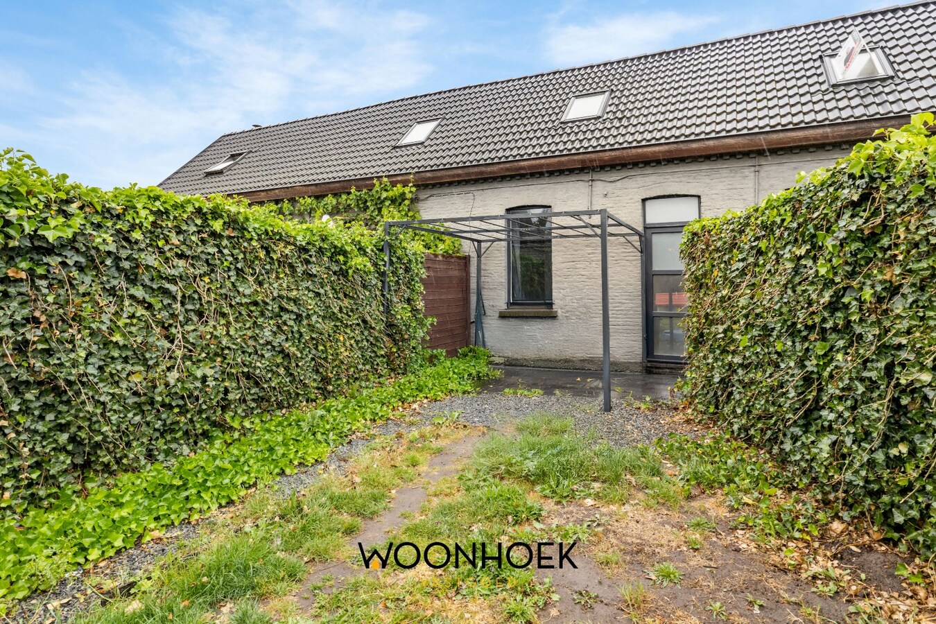 IN OPTIE! 