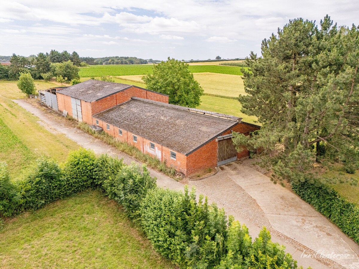 Maison situ&#233;e &#224; la campagne avec d&#233;pendances sur environ 4 hectares &#224; Bekkevoort (Brabant flamand) 