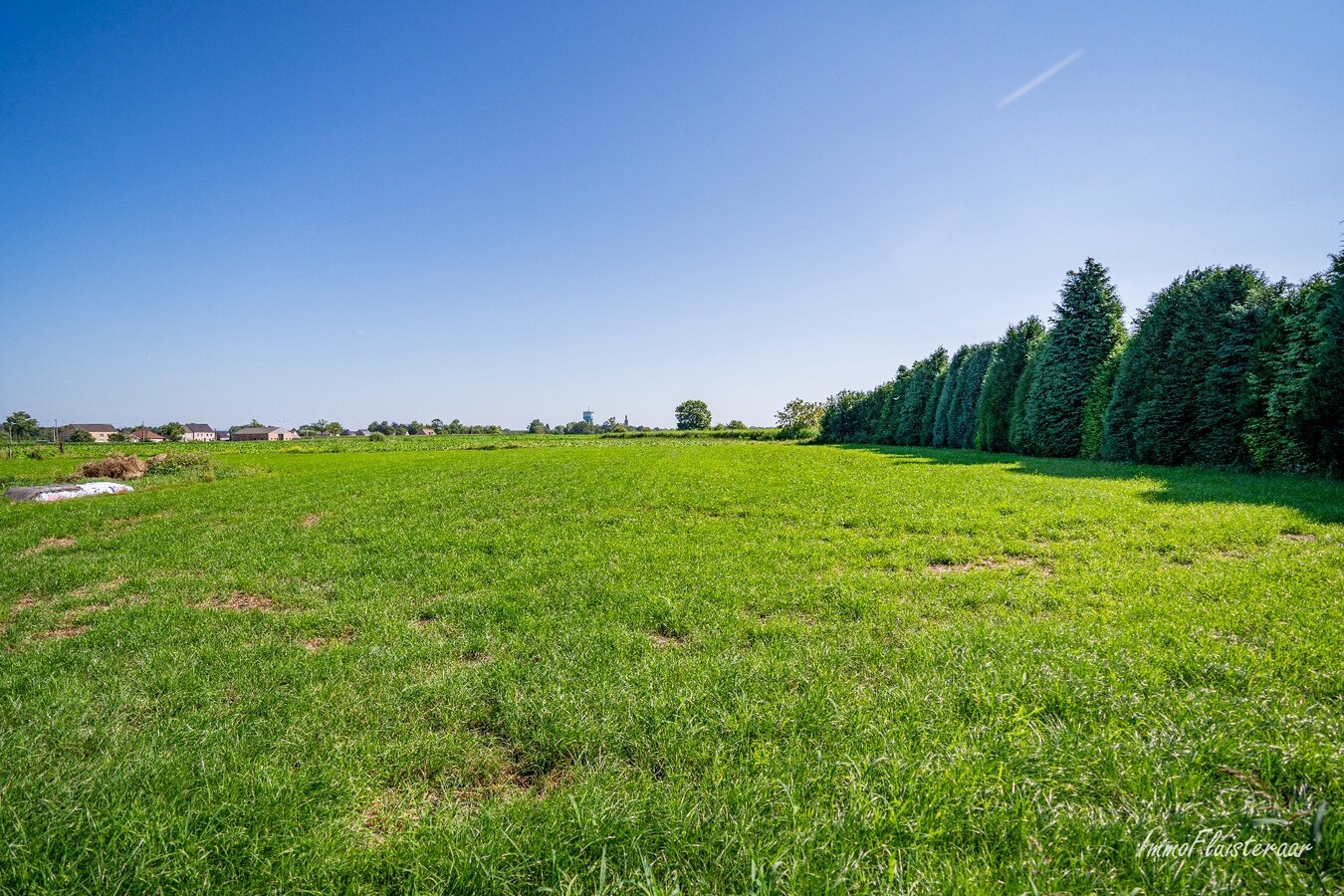 Te renoveren woning op ca. 3.717 m2 te Rijkevorsel (Optioneel bij te kopen weide verderop van ca. 8.858 m2) 