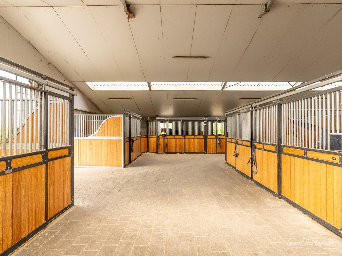 Beautiful equestrian accommodation on appr.  2.4 ha/5,94 acres in Meerle/Hoogstraten 