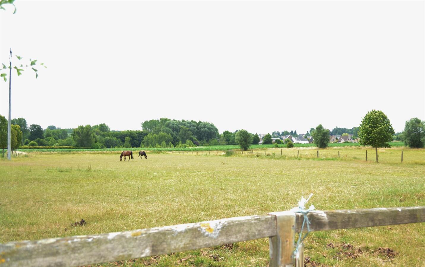 Hippisch complex met woonhuis, binnen-, buitenpiste en 30 stallen te Dilbeek Schepdaal (Vl-B) 