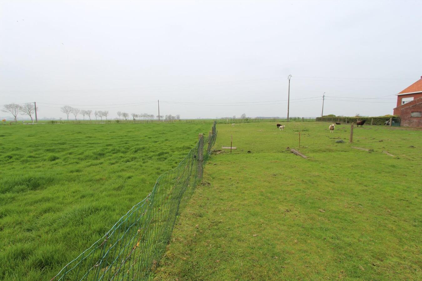 Alleenstaande woning hoeve met uitgestrekte vergezichten te Koekelare 