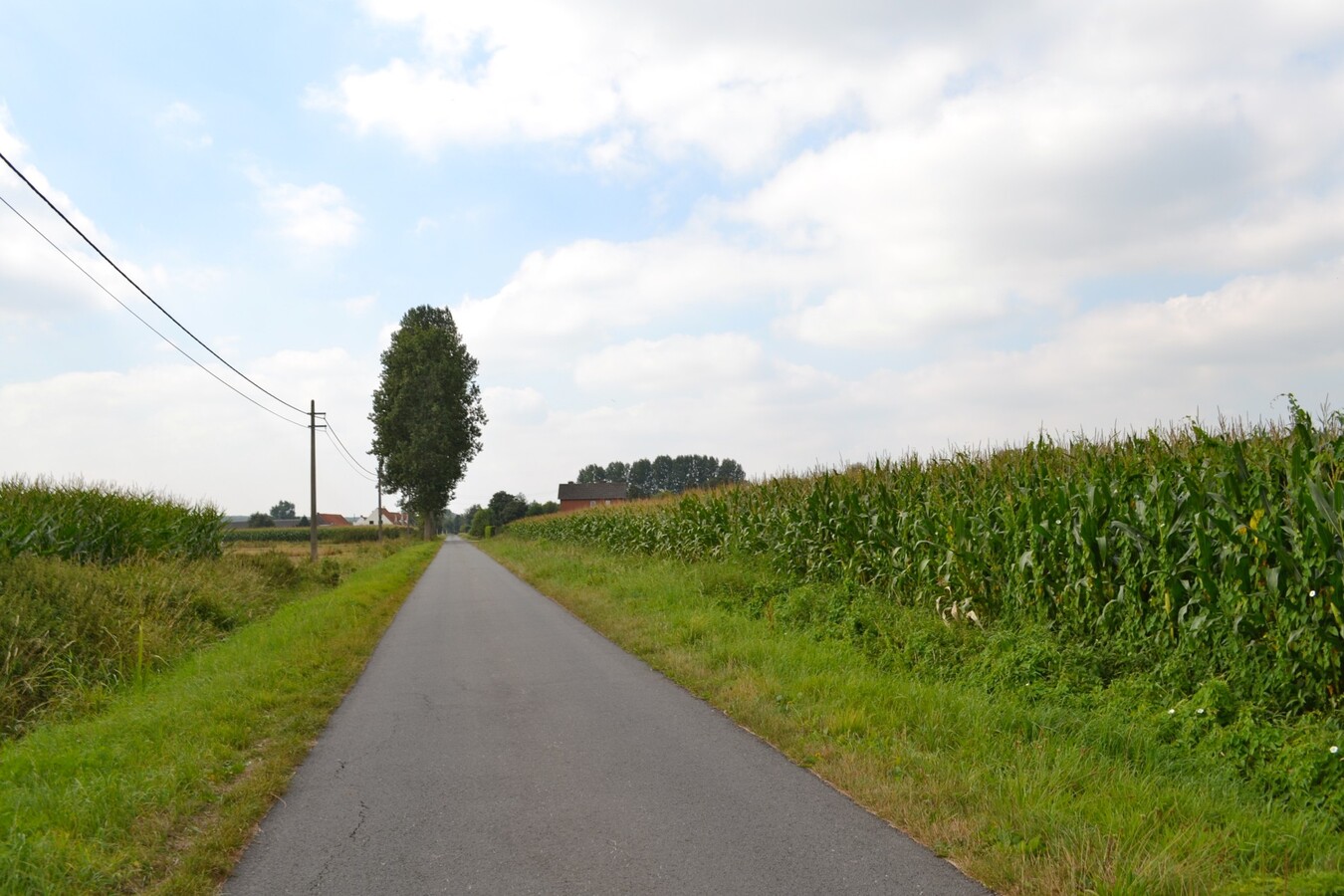 Land sold in Sint-Laureins