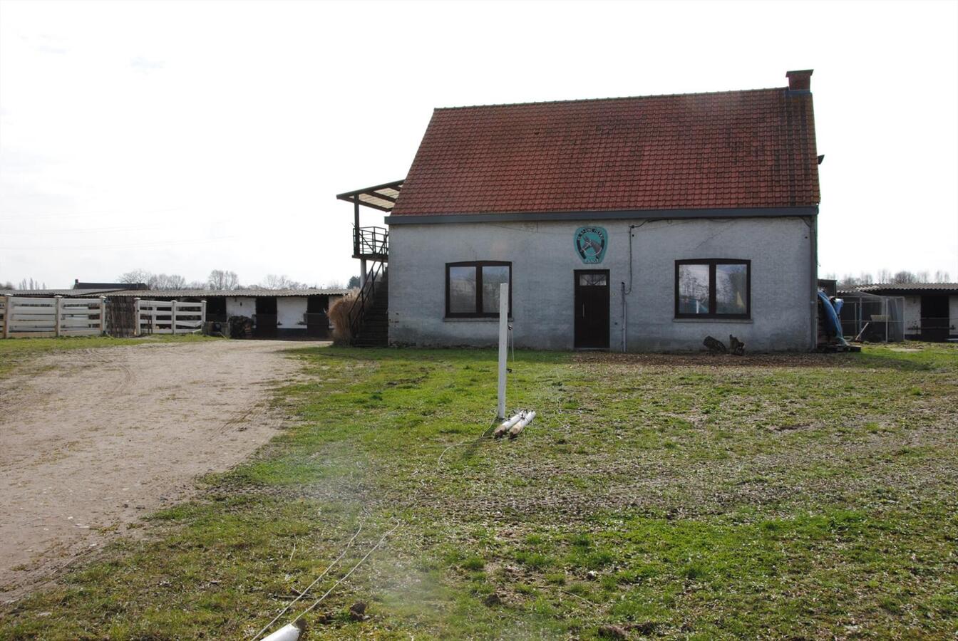 House with stables on approximately 45a in Oelegem, possibility to buy 1,5ha 