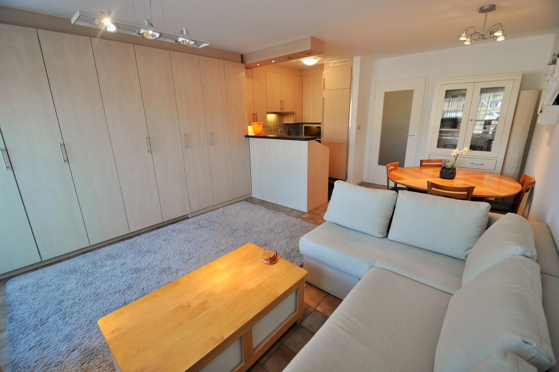 Studio orient&#233;e sud avec vue lat&#233;rale sur la mer, &#224; 50m &#224; pied du front de mer d&#39;Albertstrand. 