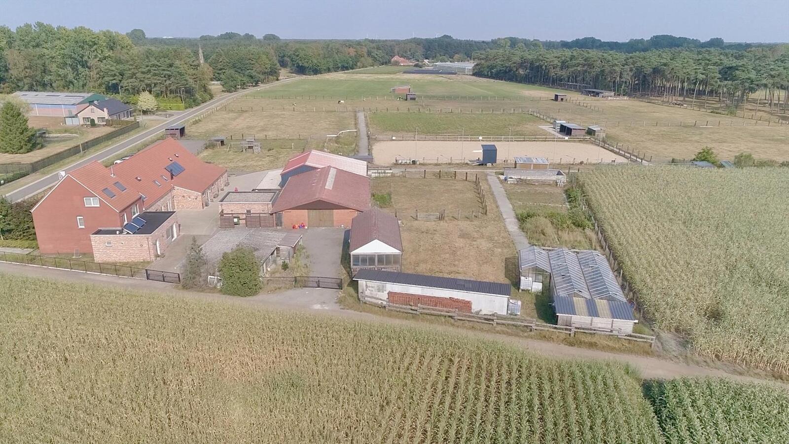 Gerenoveerde hoeve met paardenstallen en buitenpiste op ca. 1,6 ha te Vlimmeren 