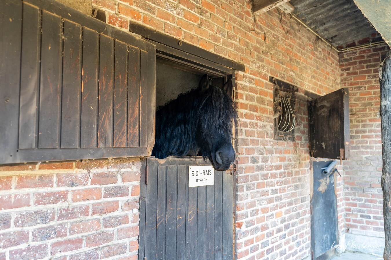 House with horse accommodation/ riding school on approx. 1ha in Mollem (Asse; Flemish Brabant) 