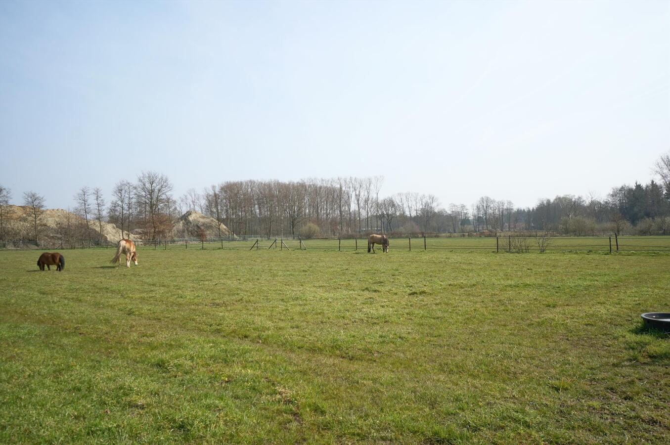 Landhuis met stalgebouw op ca. 1,8 Ha te Geel (antw) 