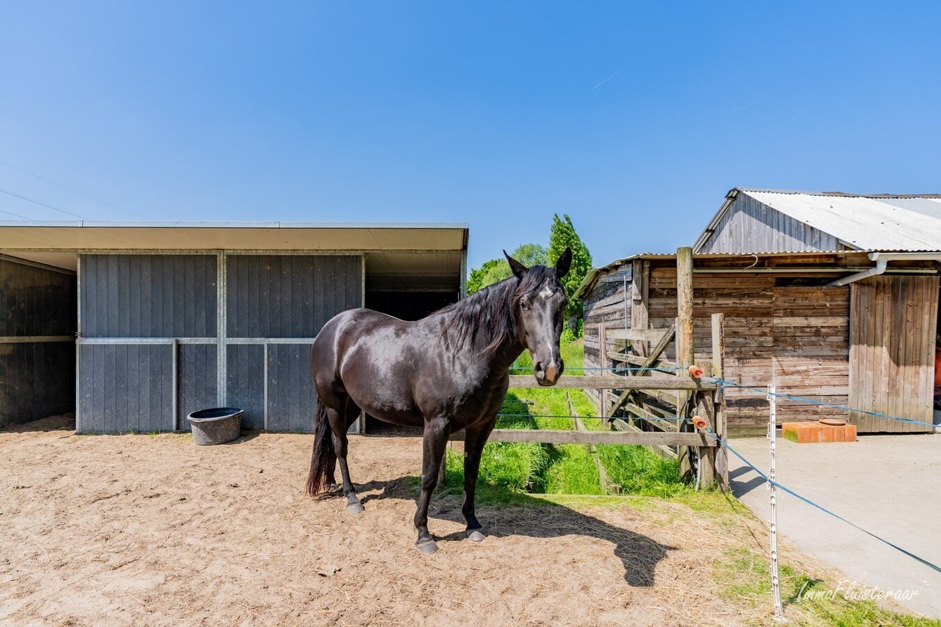 Aantrekkelijke villa met achterliggend weiland op ca. 66a te Zemst (Vlaams-Brabant) 