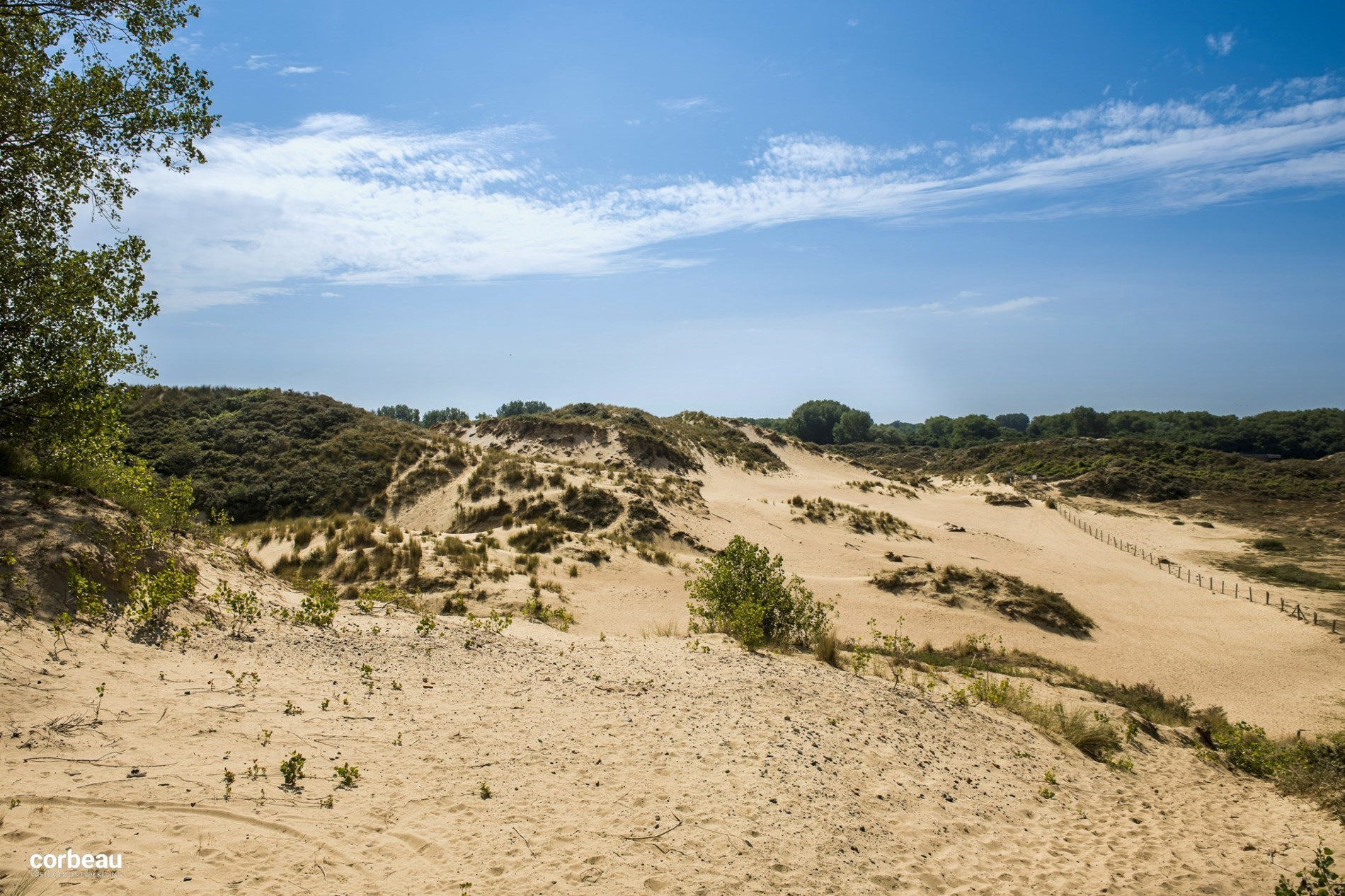 Stijlvol en luxueus wonen in hartje Koksijde nabij de natuur, zee en shopping! 