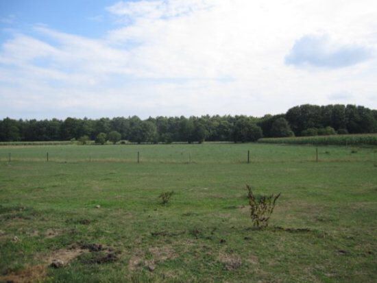 Farm sold in Neerglabbeek
