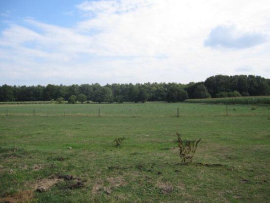 Ferme vendu À Neerglabbeek