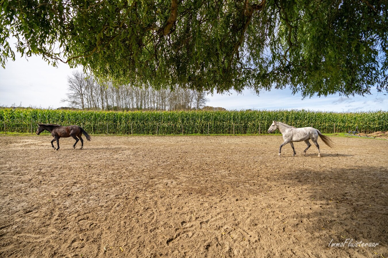 Charmante maison pr&#234;te &#224; emm&#233;nager avec des installations pour chevaux sur environ 75a &#224; Waanrode. 