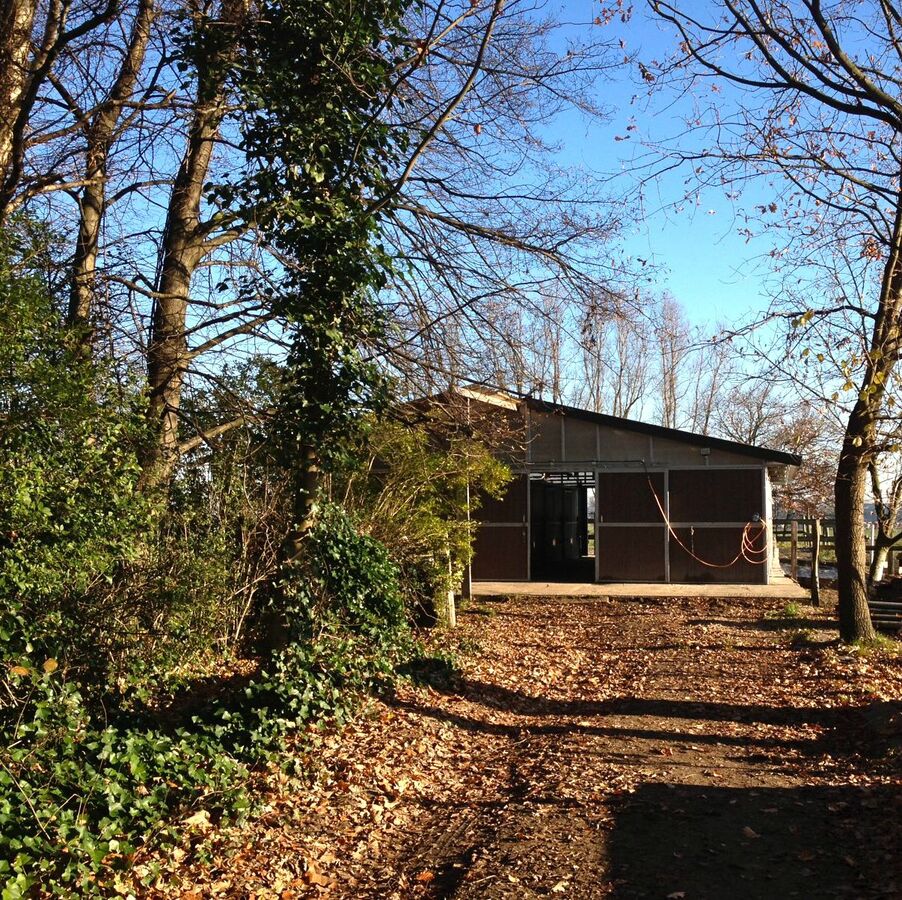 Weide met stalgebouw, buitenpiste en paddock op ca. 1,5ha te Kontich 