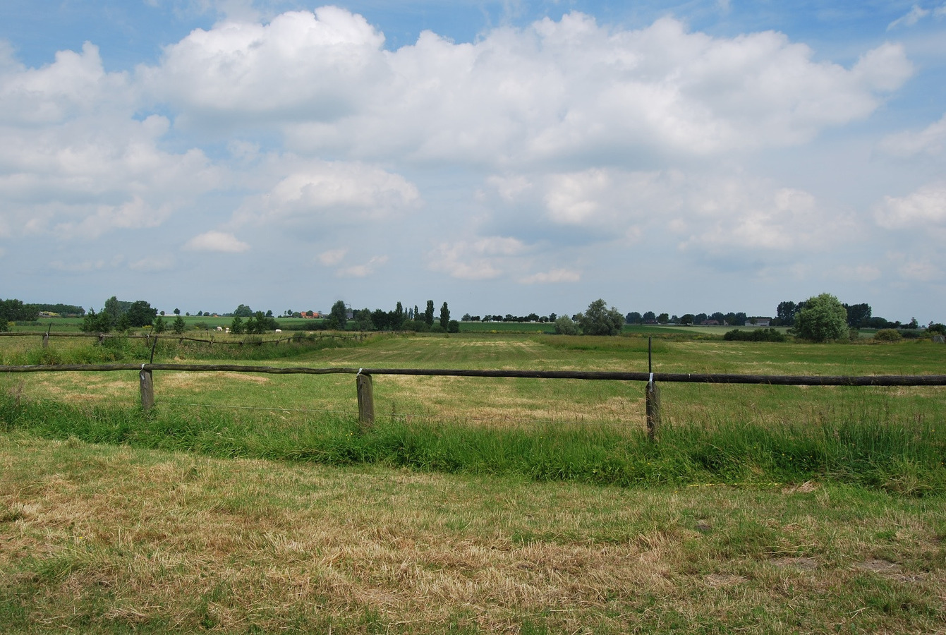 Abdijhoeve op ca. 7ha te Alveringem, Stavele 