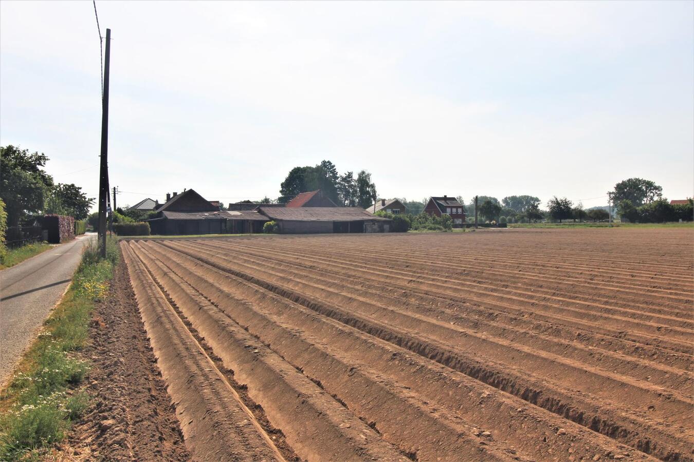 IN OPTIE - Charmante te renoveren boerderij met weiland op ca. 2,63ha te Merchtem en Londerzeel (Vlaams-Brabant) 