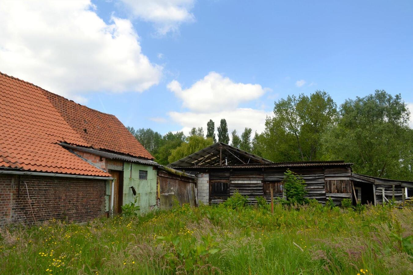 Grondig te renoveren hoeve of nieuwbouw met weide op ca. 1,2ha te Sint-Katelijne-Waver 