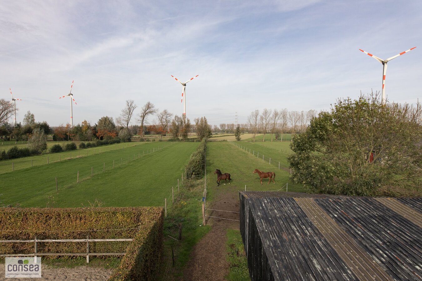 TE KOOP: SUBLIEM GELEGEN HOEVE OP EEN BUITENGEWONE OPPERVLAKTE. 