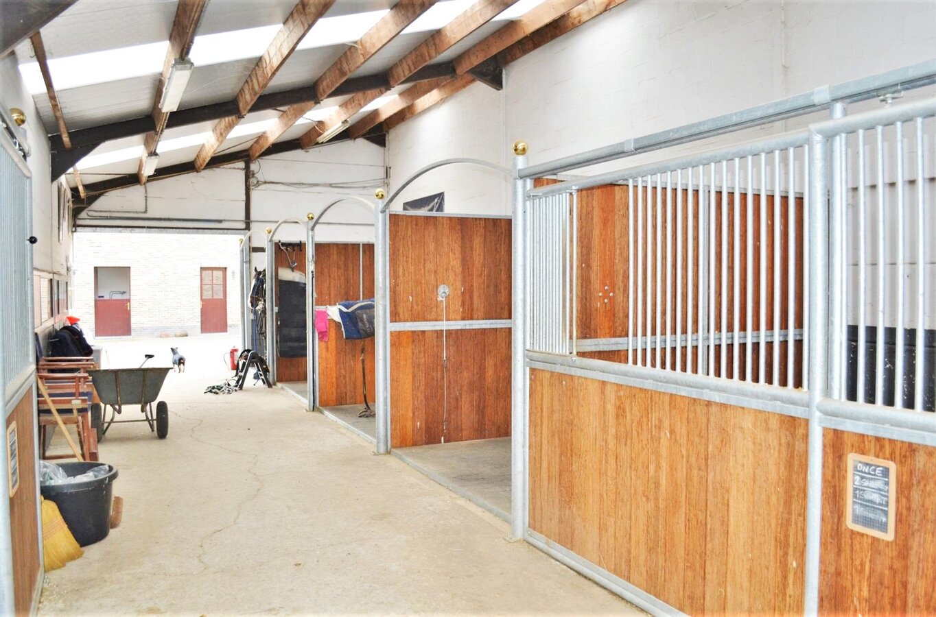 OPTIE - Woning met professionele paardenaccommodatie op ca. 4ha te Lennik (Vlaams-Brabant) 