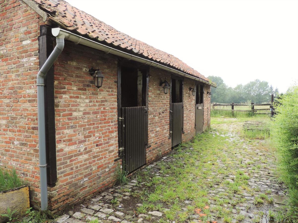 Ferme vendu À Tessenderlo