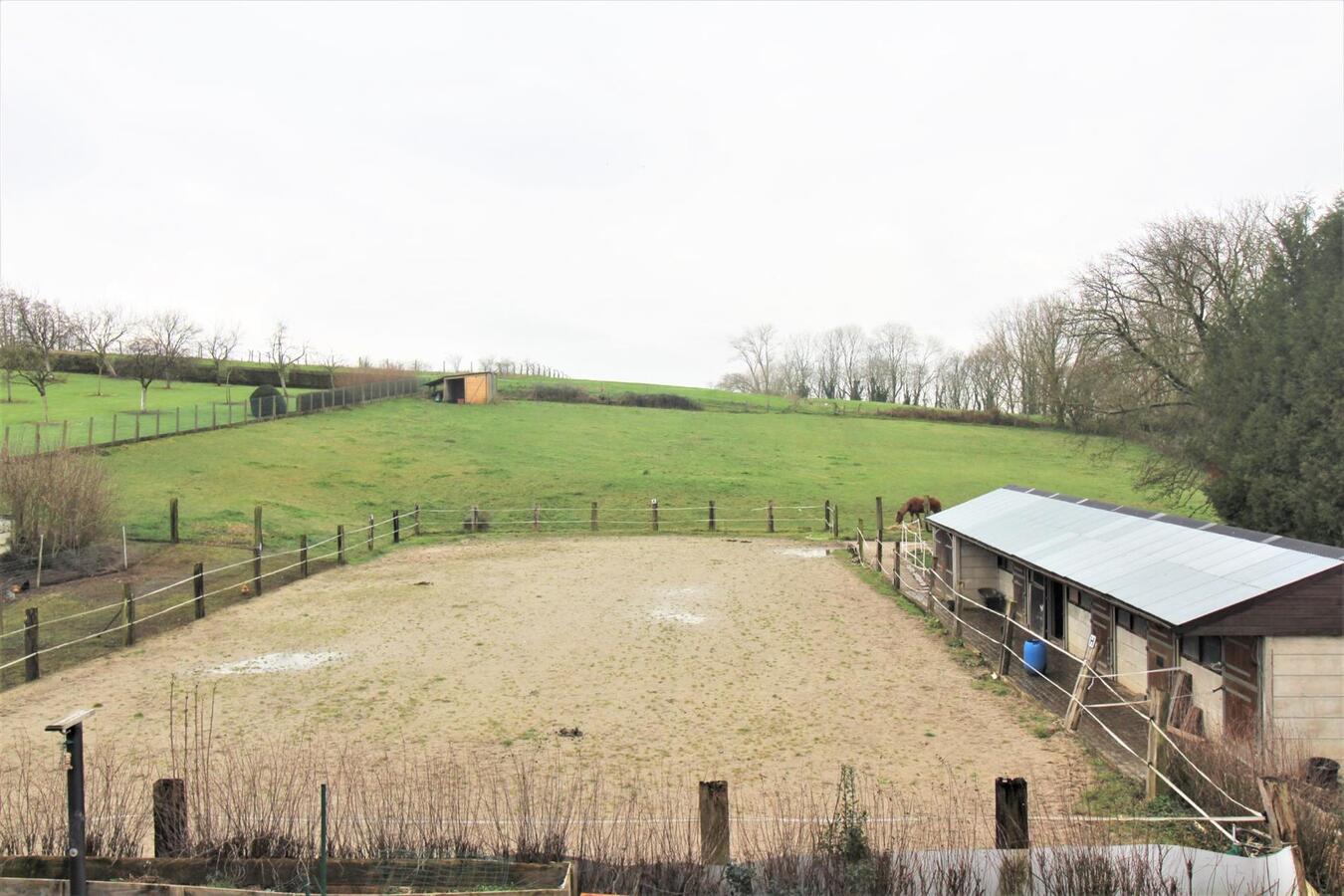 IN OPTIE - Woning met stalgebouw, buitenpiste en weilanden op ca. 1,8ha te Galmaarden (Vlaams-Brabant) 