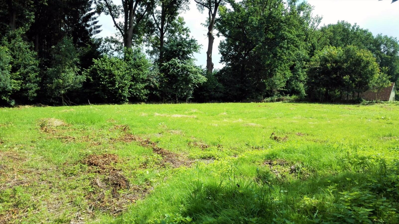 Farm sold in Meeuwen-Gruitrode