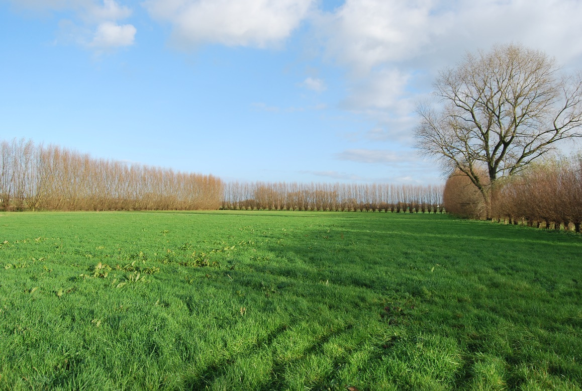 Hofstede met schuur op 2,24ha te Kruishoutem 