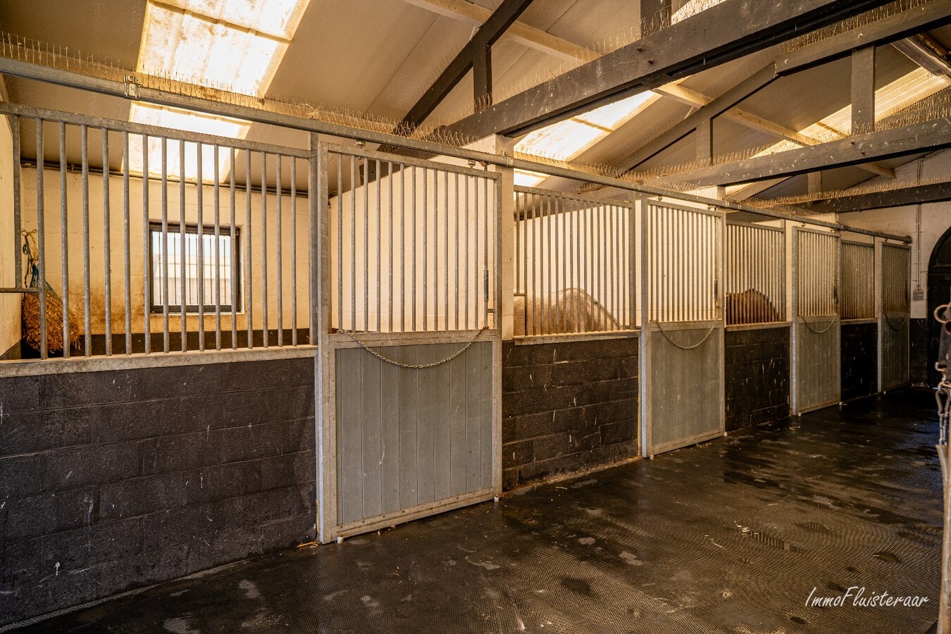 Complete horse accommodation on approximately 3.5 hectares in Helchteren 