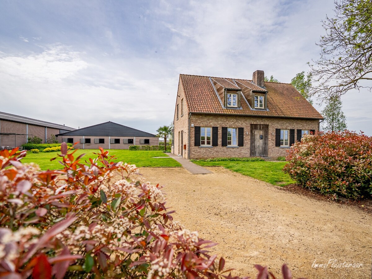 Beautiful equestrian accommodation on appr.  2.4 ha/5,94 acres in Meerle/Hoogstraten 