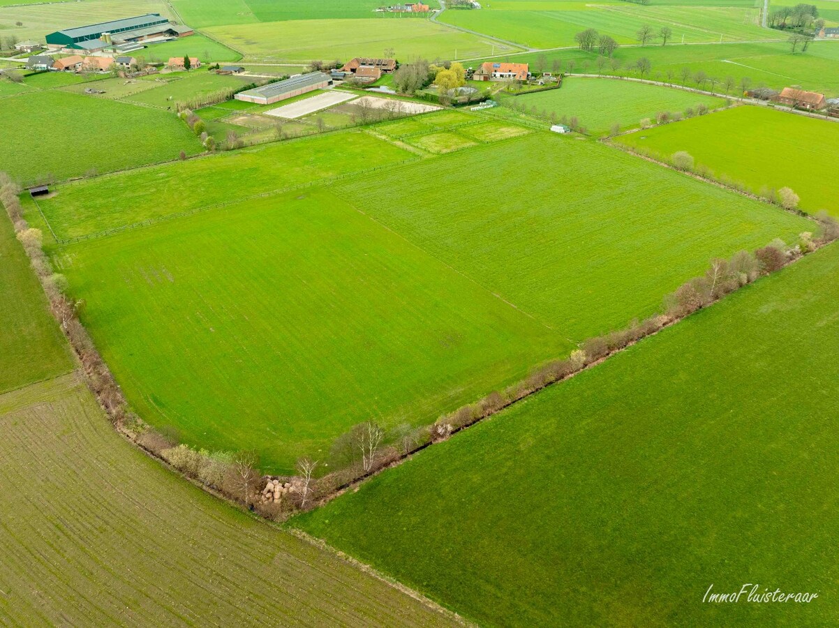 Exclusief landhuis met paardenfaciliteit op ca. 2,6 ha in Wuustwezel, (met mogelijkheid tot aankoop van ca. 6 ha aangrenzend weiland) 