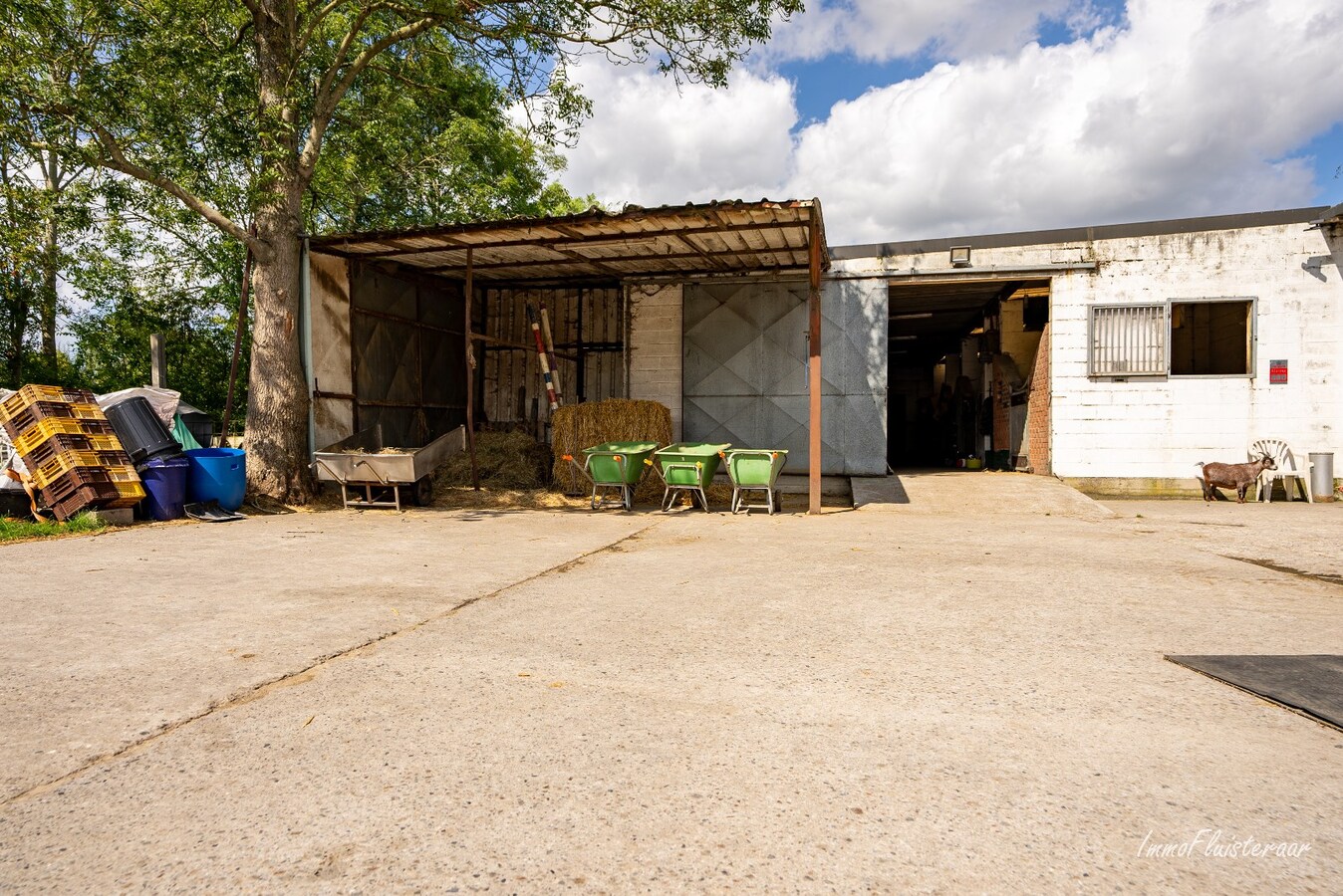 Equestrian property with house to be renovated at ca. 90a in Wonck (Bitsingen). 