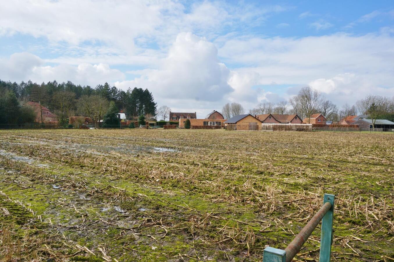 Ferme vendu À Wortel