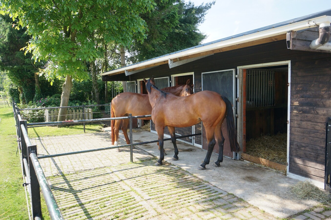 Verzorgde woning met stallen en piste op ca. 5374m&#178; te Wortel (Hoogstraten) 