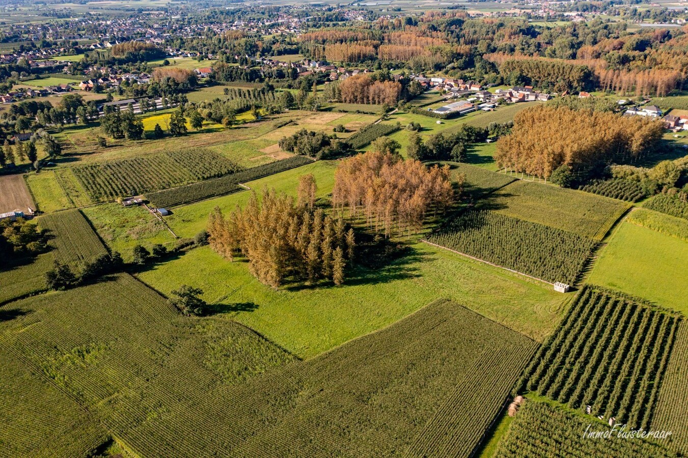 Paardenaccommodatie met binnenpiste op ca. 6ha te Wellen 