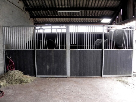 Hoeve met stallingen op 8.186 m&#178; te Wuustwezel 