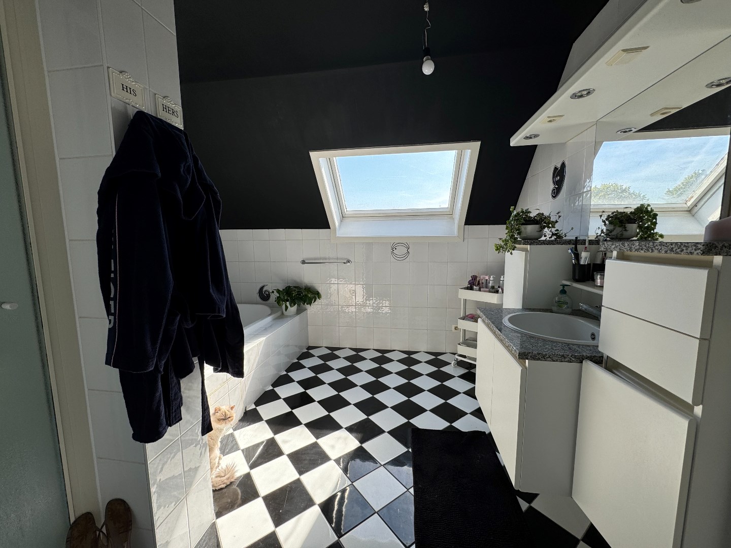 Opbrengsteigendom met 8 appartementen en 10 garages te koop in Zulte. 