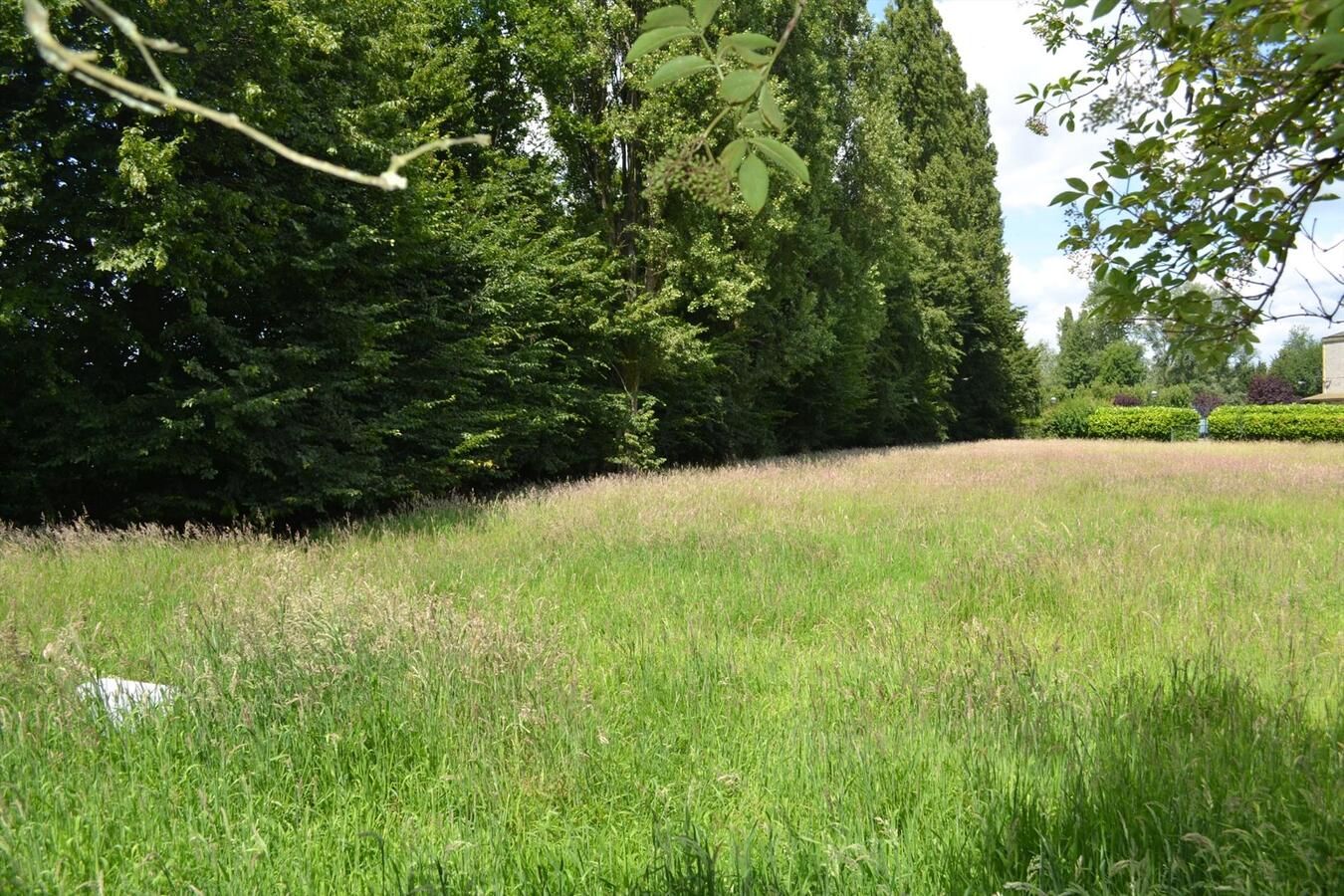 Charmante hoeve op ca. 0,63Ha te Lokeren, deels gelegen in woongebied. 