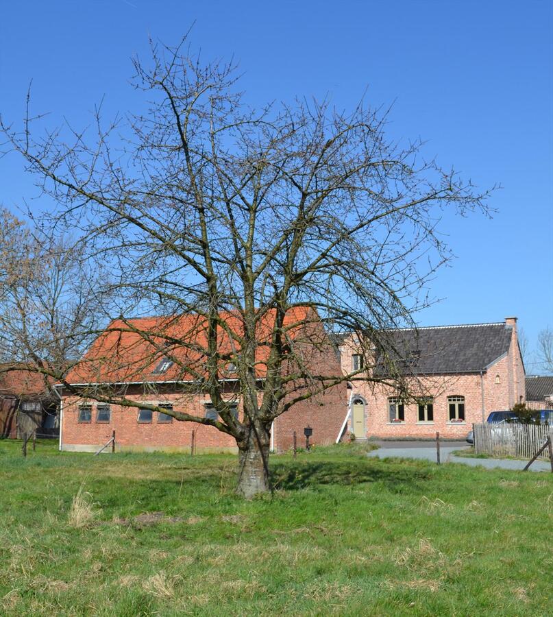 Prachtig landhuis met schuur op ca. 4600M&#178; te Zwijndrecht 